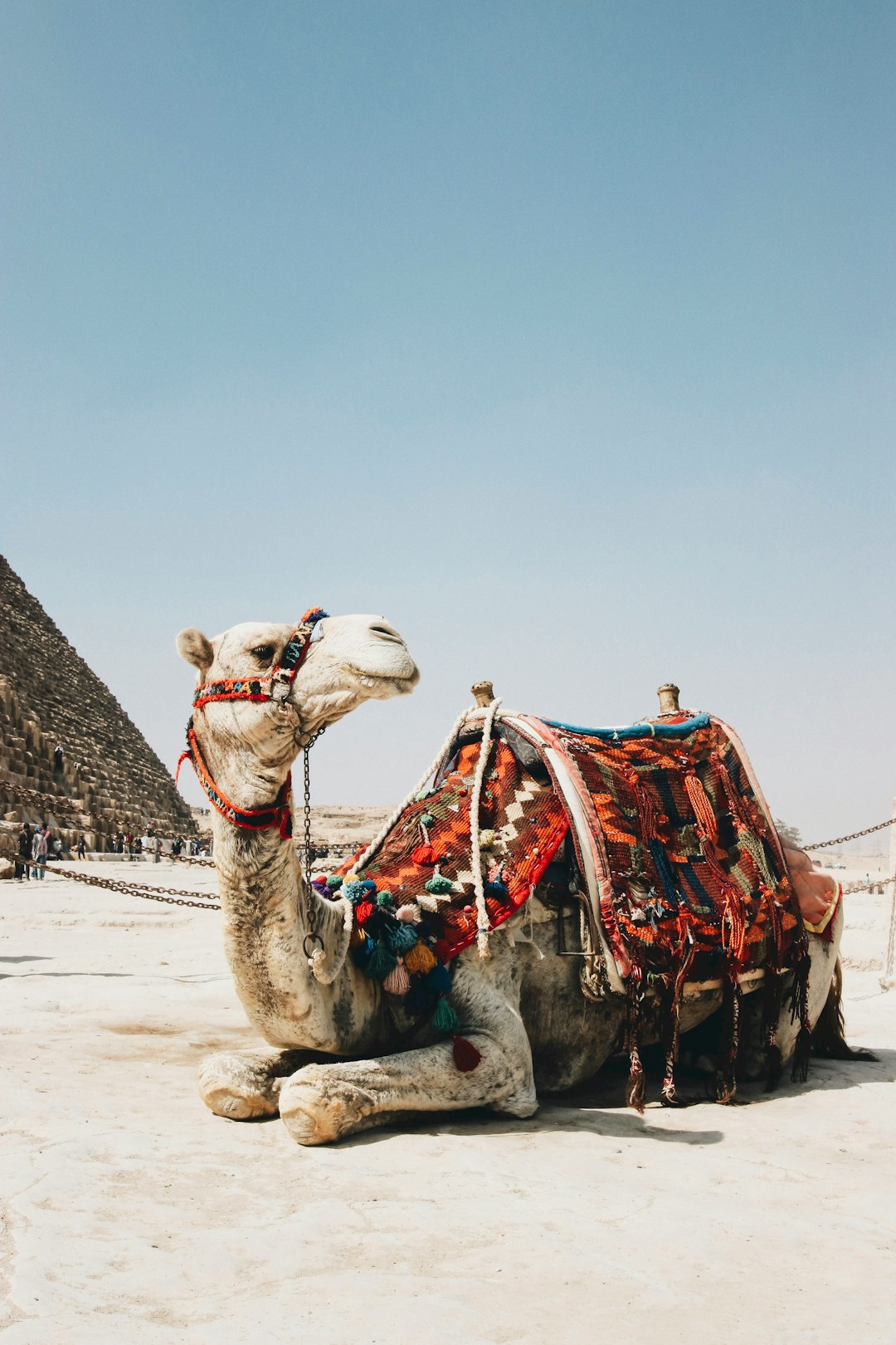 نصائح التصوير