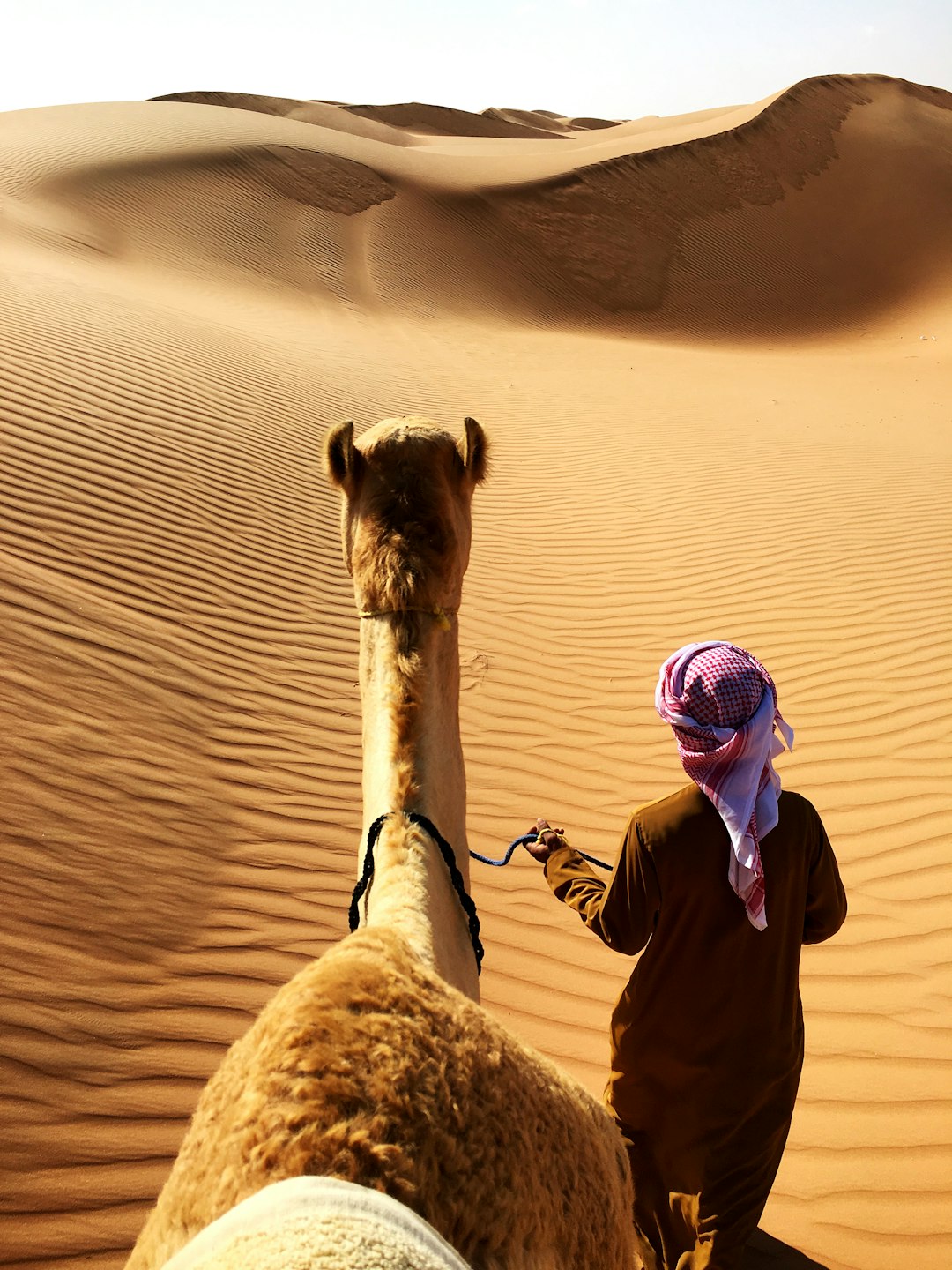 معدات السفاري